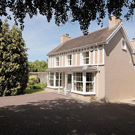 Copper Beech Cottage Henfynyw Upper Esterno foto